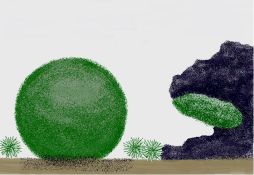 Aegagropila linnaei